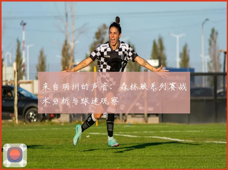 来自明州的声音：森林狼系列赛战术分析与球迷观察