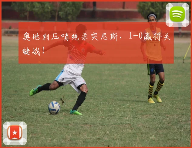奥地利压哨绝杀突尼斯，1-0赢得关键战！