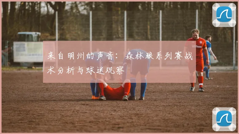 来自明州的声音：森林狼系列赛战术分析与球迷观察