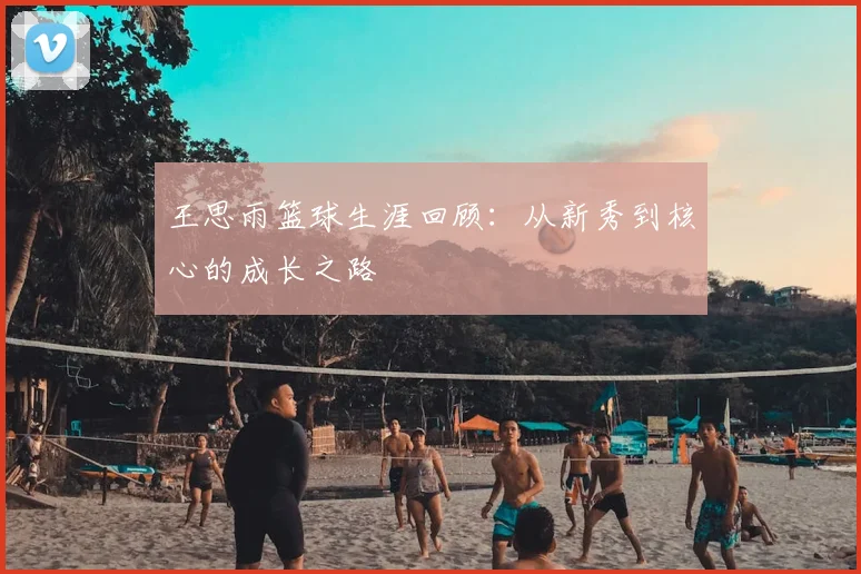 王思雨篮球生涯回顾：从新秀到核心的成长之路